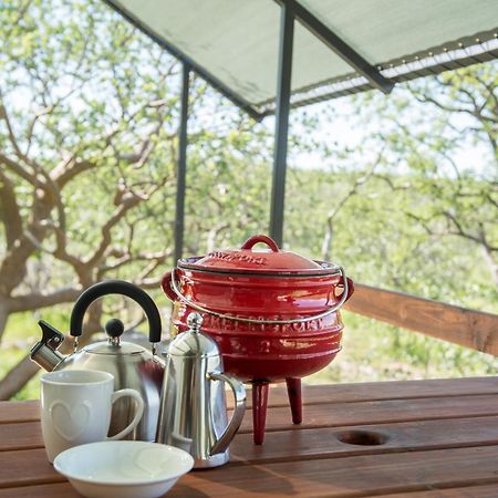 Etosha Safari Camping2Go Okaukuejo Chambre photo